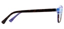 OA1625C1 C