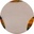 [OA2317 C2] OA2317 (C2)