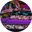 [OA2411 C1] OA2411 (C1)
