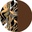 [OA2438 C1] OA2438 (C1)