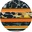 [OA2446 C3] OA2446 (C3)